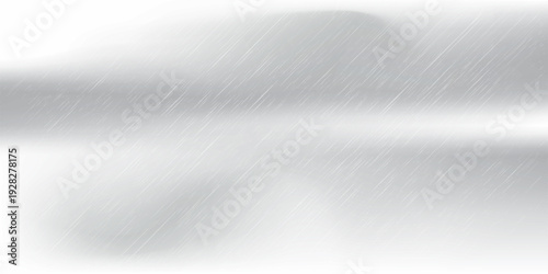 Abstract blurred background. The shadow reflection of leaves and gray light lines. on the white surface concrete wall. for wallpaper, backdrop and design.