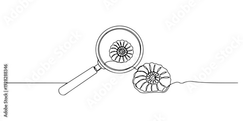 Continuous one line of a magnifying glass over a fossil, drawn illustration.