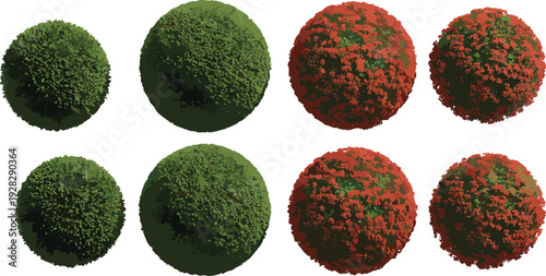 Top-down spherical shrubs and ornamental bushes vector set, aerial garden view, seasonal green and red foliage, landscape planning, hedge shapes, planting layout icons