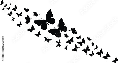 Flying Swarm of Black Butterfly Silhouettes in Dynamic Motion Isolated on White Background for Decorative Spring Summer Nature Graphic Design Elements