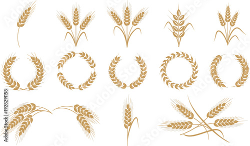 "Golden wheat stalks and harvest wreath illustrations in vector style, perfect for organic farming, agriculture branding, food packaging, and eco-friendly product design elements"