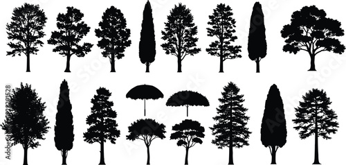 Large set of diverse black tree silhouettes including pine oak cypress and maple for landscape design nature environment and architectural visualization concepts.
