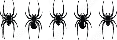Set of Five Black Spider Silhouette Icons with Long Legs and Large Abdomens Isolated on White Background for Halloween Graphic Design