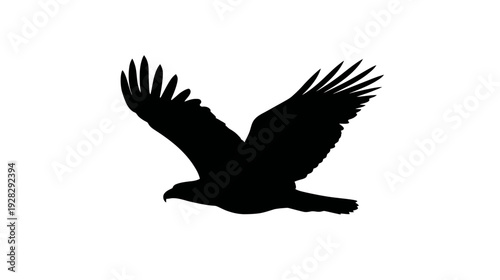 Majestic black eagle or hawk silhouette flying with outstretched wings, symbolizing freedom, power, and nature. Vector illustration.