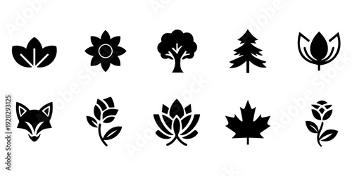 Nature and Wildlife Silhouette