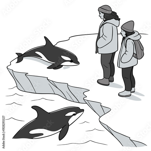 Orcas swimming near ice floes with two people observing