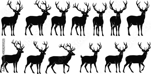 Silhouettes of deer with antlers in varied poses, showcasing wildlife diversity, animal anatomy, antler variation, forest ecology, hunting illustration, and natural environment art.