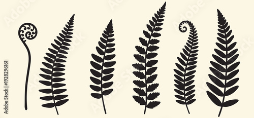 Collection of five distinct black fern leaf silhouettes on a beige background
