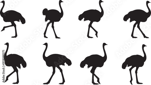 Eight distinct silhouettes of ostriches in various poses against a white background