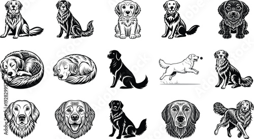 Set of 15 cute dog breeds sitting and standing poses vector illustration flat design