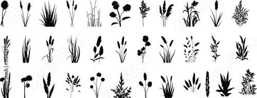 Collection of black and white of various plants and flowers in different styles and shapes nature