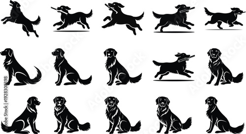 Golden Retriever Dog Icon Set in Various Poses Flat Design Vector Illustration