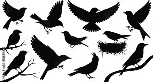Silhouettes of black birds in various poses and activities on a white background flying perched