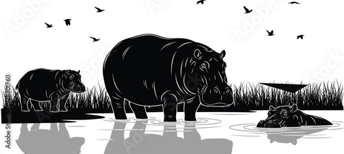 Black and white wildlife illustration of hippopotamuses in wetland habitat with birds, boat, and grass, ideal for nature, safari, and conservation design projects