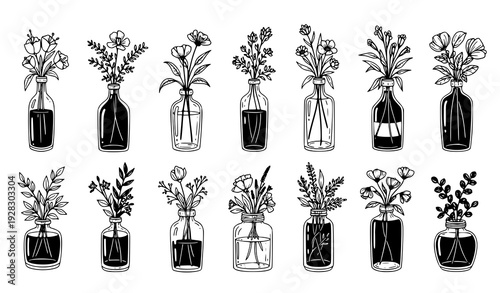 Hand Drawn Botanical Vector Collection Flowers in Vases, Bottles, Jars Decorative