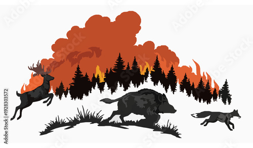 Hand Drawn Forest Fire Vector Wild Animals Silhouettes Deer Boar Fox Birds
