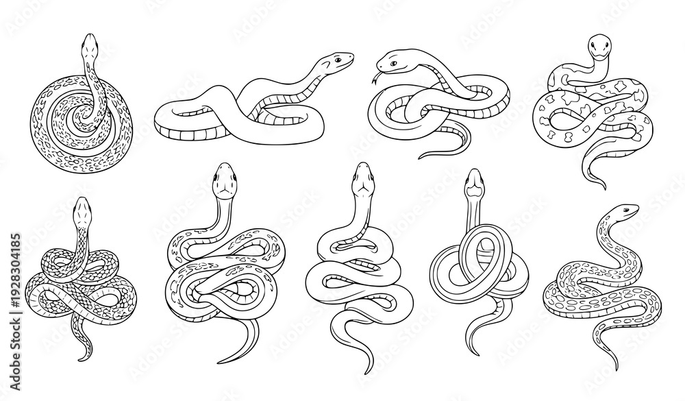 Obraz premium Hand Drawn Snake Vector Icons Reptile Illustration Monochrome Collection