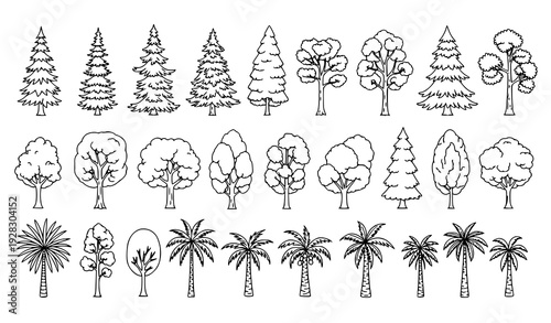 Hand Drawn Tree Vector Icons Forest Plants Nature Outline Collection