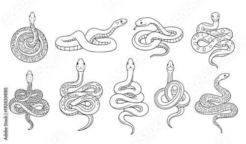 Hand Drawn Snake Vector Icons Reptile Illustration Monochrome Collection