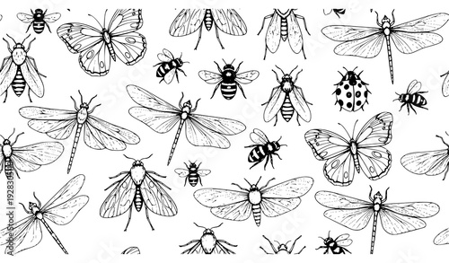 Flying Insects Vector Seamless Pattern Bugs Butterflies Dragonfly Bees Hand Drawn