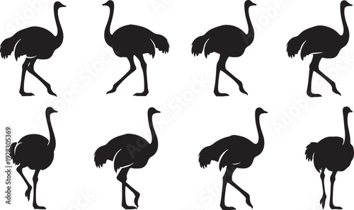 Eight black silhouettes of ostriches walking in various poses and directions
