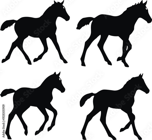 Running horse silhouettes set, galloping stallion poses isolated black vector illustration collection for equestrian design concept