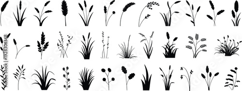 Collection of black and white silhouettes of various plants and grasses in different shapes and sizes