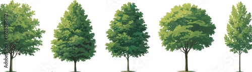 Cute baby animal line art set including a kitten squirrel and bird on a branch for children coloring book and nursery education activity pages