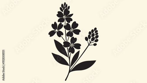 A black silhouette of a plant with leaves and seed pods on a beige background