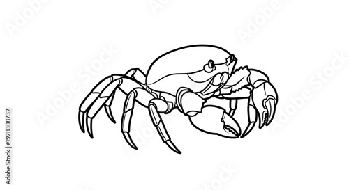 Detailed Line Art Illustration of a Crab on a White Background.