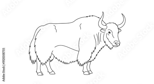 Detailed Line Art Illustration of a Majestic Yak Standing.