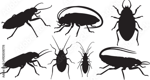 A diverse collection of insects showcasing various shapes, sizes, and colors