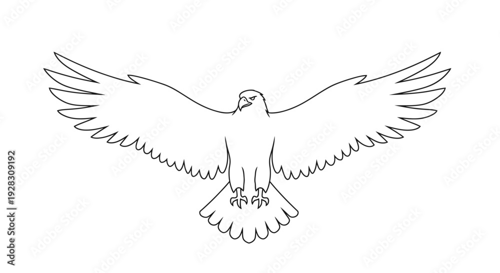 Fototapeta premium Majestic eagle in flight with wings spread wide.
