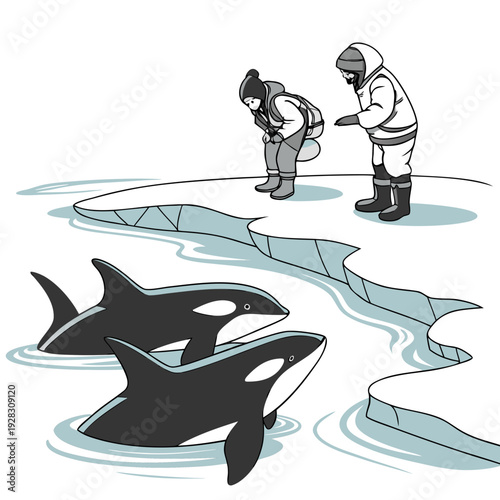 Orca whales swimming near ice floes with two people observing