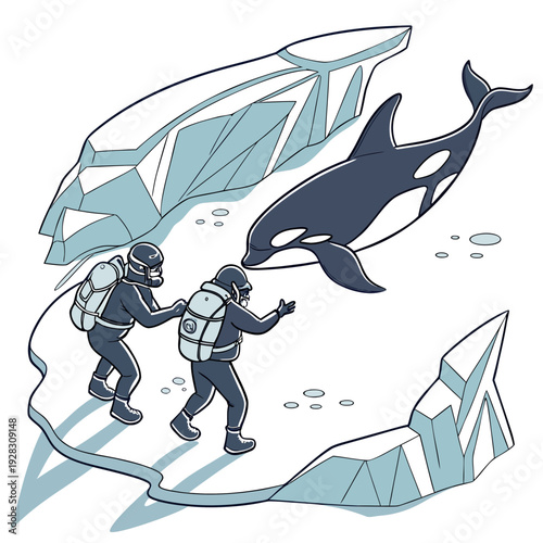 Scuba divers in diving gear exploring ocean with orca