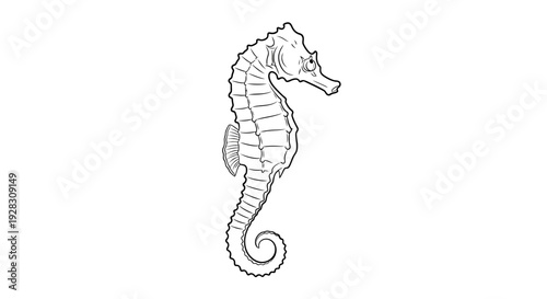Detailed black and white illustration of a seahorse marine life drawing.