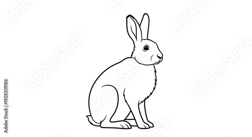 Simple black and white line drawing of a rabbit sitting upright.