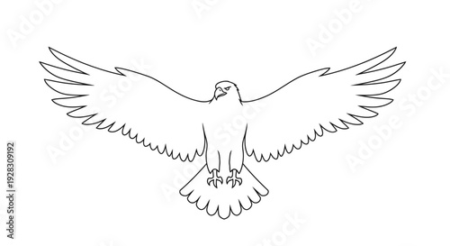 Majestic eagle in flight with wings spread wide.