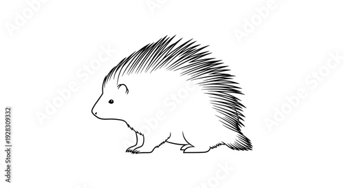 Simple black and white sketch of a porcupine with prominent quills.