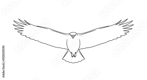 Majestic Eagle Soaring with Wings Spread Wide in Simple Line Art.
