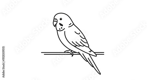 Minimalist Line Art Drawing of a Budgerigar Perched on a Branch.