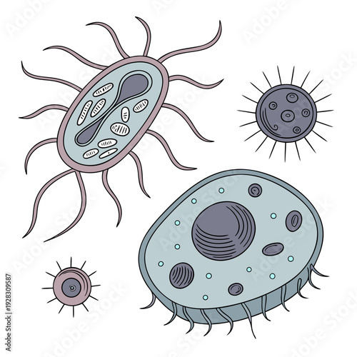 Of bacteria and viruses on white background microorganisms 1