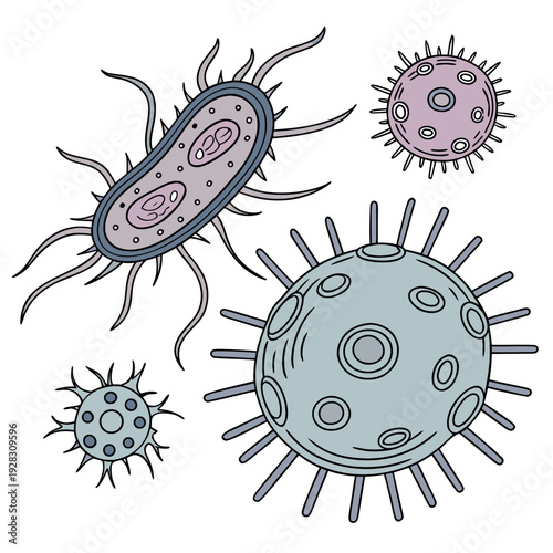 Bacteria and viruses with varied morphology microorganisms