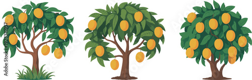 Stylized fruit-bearing trees with yellow-orange mango-like fruits, diverse canopy structures, agricultural illustration for botany, farming education, tropical orchard design