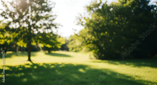Blurry photo of a serene park on a sunny day