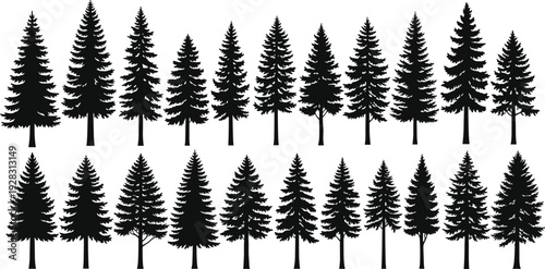 Collection of pine tree silhouettes, coniferous forest evergreen trees set, cad drawing flat vector illustration, nature landscape design elements, black isolated on white