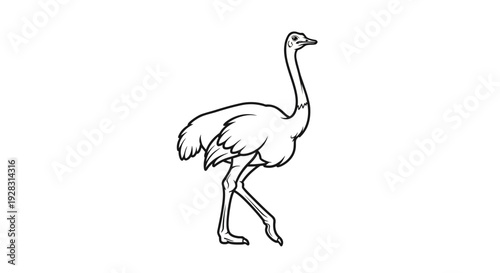 Elegant Ostrich Striding Gracefully in Detailed Line Art.