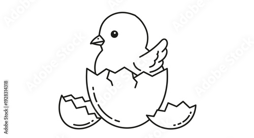 Cute newborn chick hatching from egg in simple outline drawing.