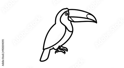 Simple black and white line art drawing of a toucan bird.