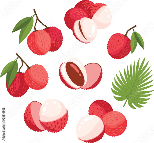 Lychee fruit composition with whole, peeled and seed pieces with tropical leaves in flat vector illustration for organic food packaging and summer dessert menu.